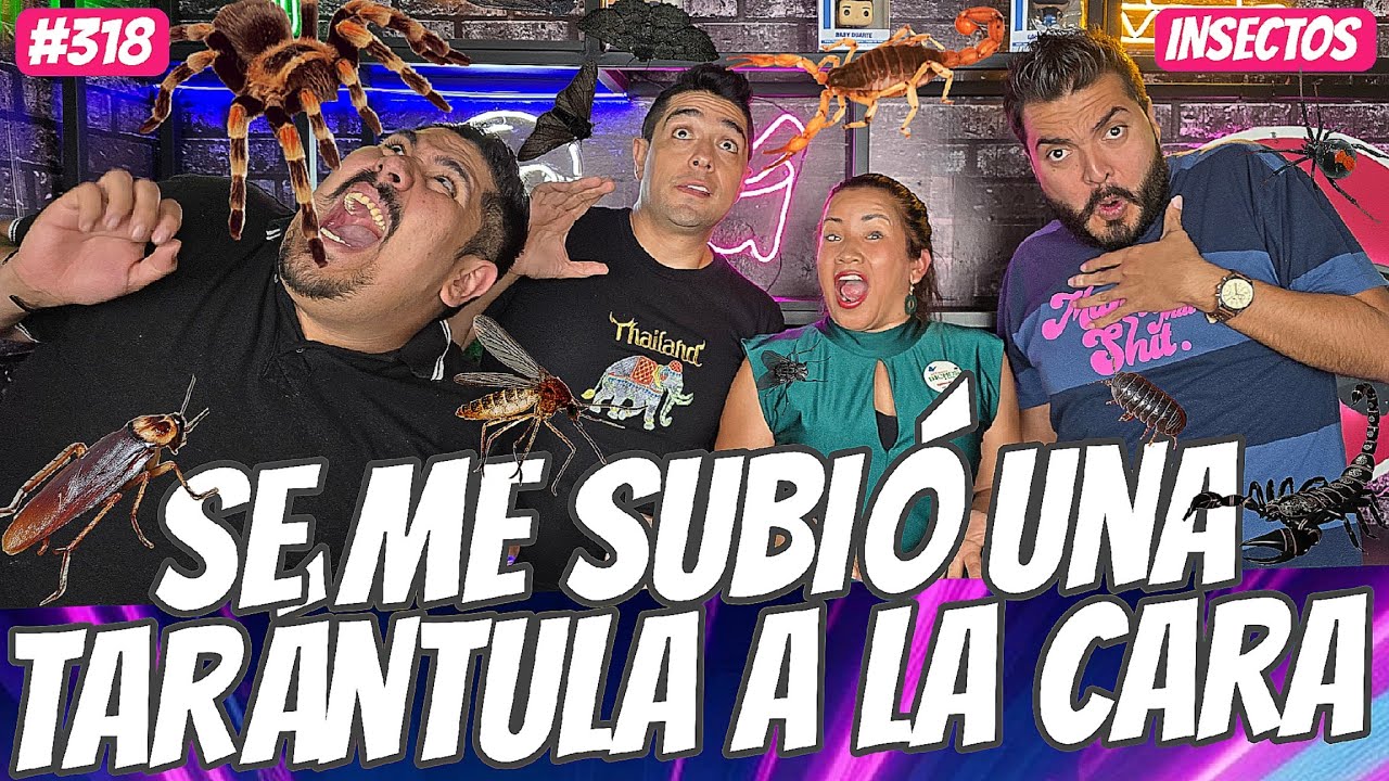 Así viven las CUCARACHAS 🪳  en TU CASA‼️🏠😲 Con Luz Puente #318 HAMBRIADOS