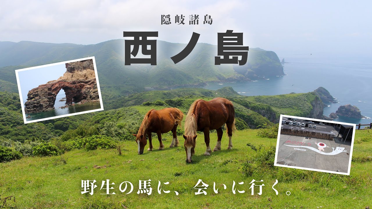 【西ノ島】野生の馬が暮らす、天国の島🐴🪽 ｜大充実の3泊4日旅［Day3］