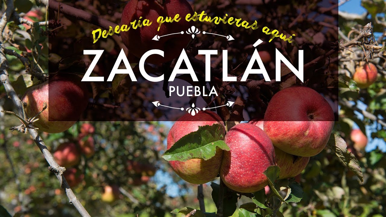 Pueblo M&aacute;gico de Zacatl&aacute;n de las Manzanas, Puebla