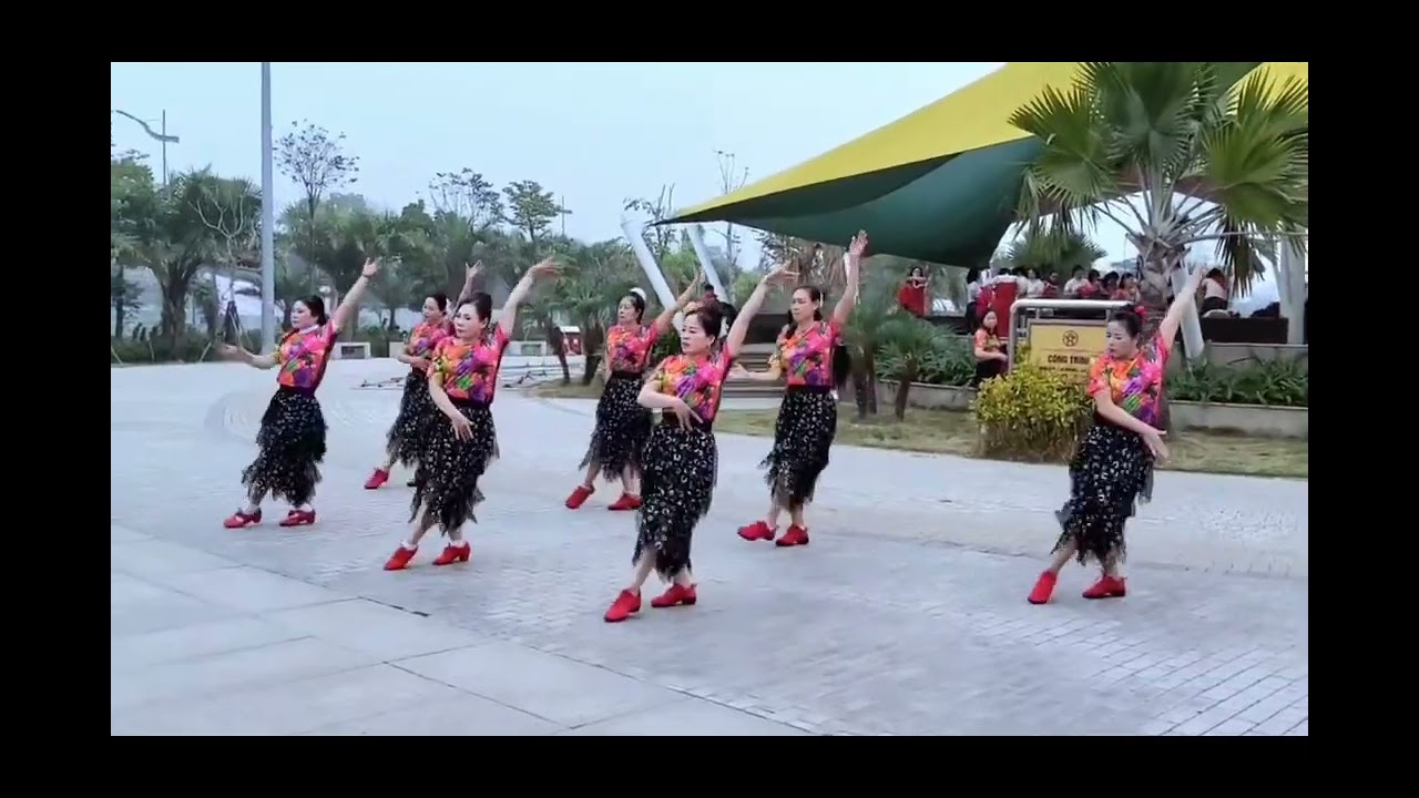 Hà nội phố.