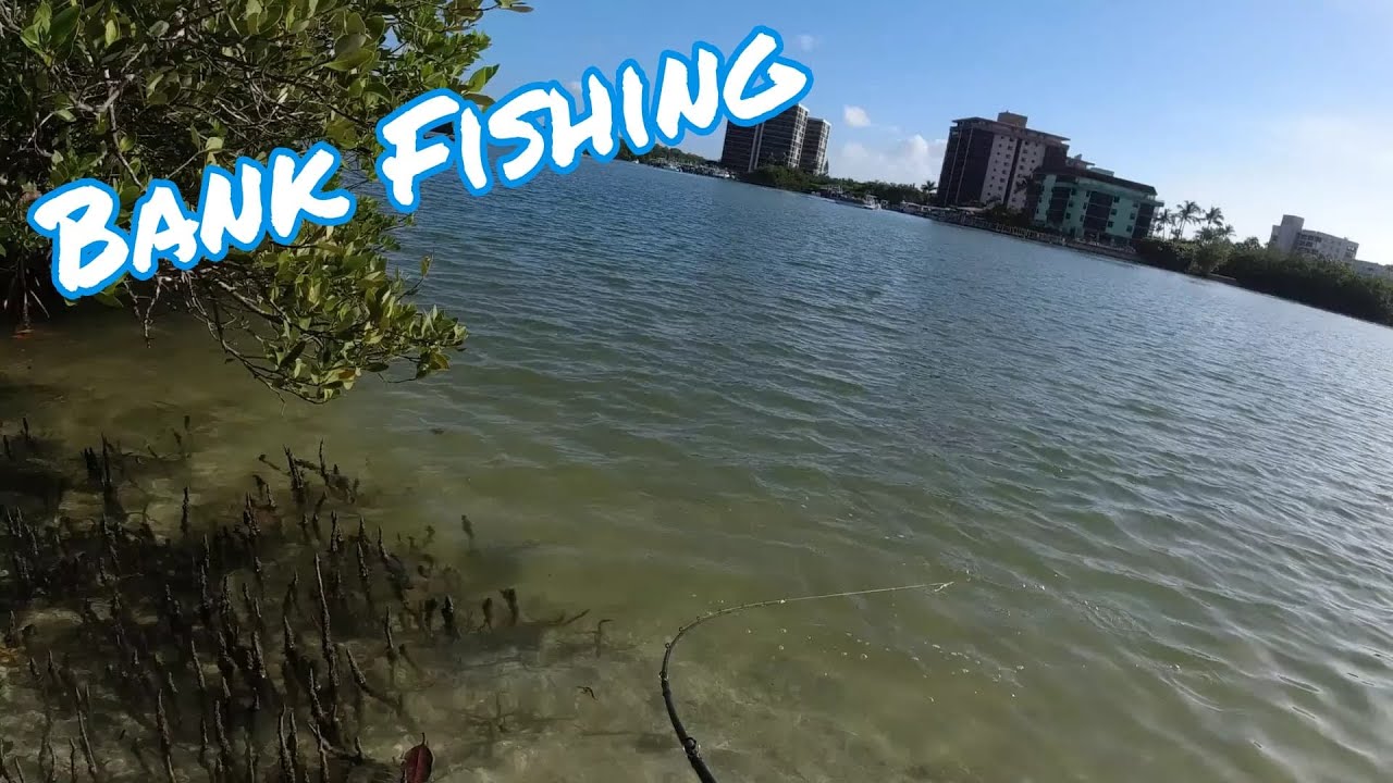 Big Snook from the Bank | Fishing in Naples Florida!