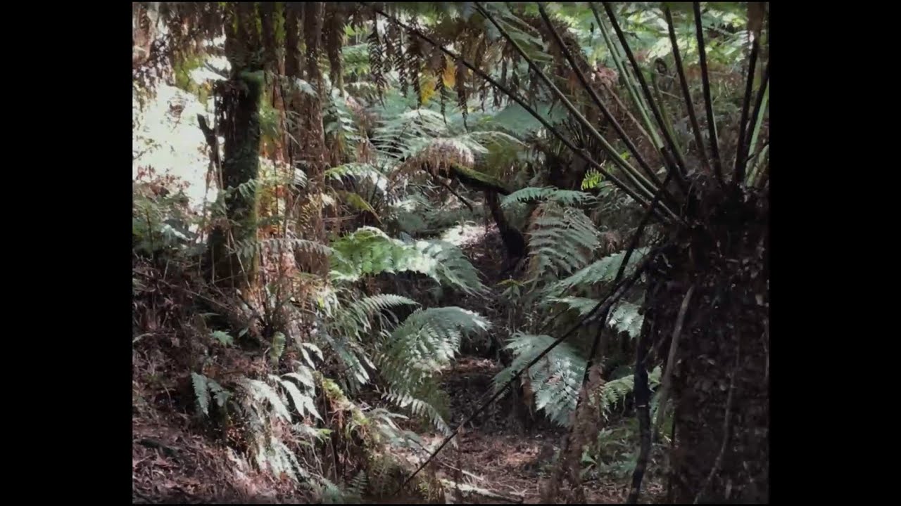 ☁  free corbin x the kid laroi type beat 