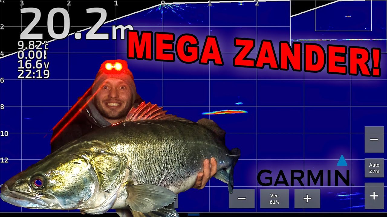 MEGA ZANDER PELAGIC FISHING! (GARMIN LIVESCOPE FOOTAGE)