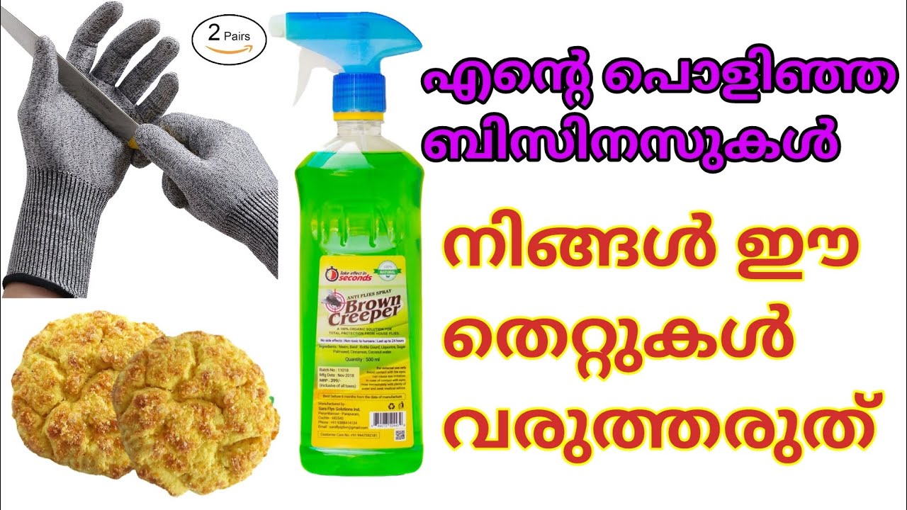 ഞാൻ തുടങ്ങിയ ബിസിനസുകൾ പൊളിയാൻ ഉണ്ടായ കാരണങ്ങൾ | Business Mistakes I Have Made | Lessons for You