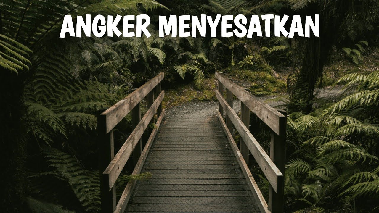 ANGKER MENYESATKAN - Inilah Mengapa Hutan Tersebut Sangat Ditakuti Manusia
