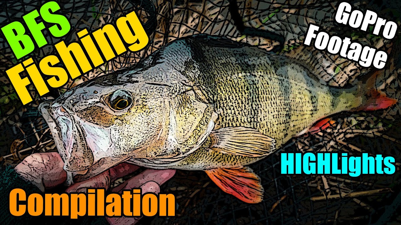 BFS Fishing Highlights - Lure Fishing for Perch, Trout, Pike, Zander, Chub - GoPro Footage