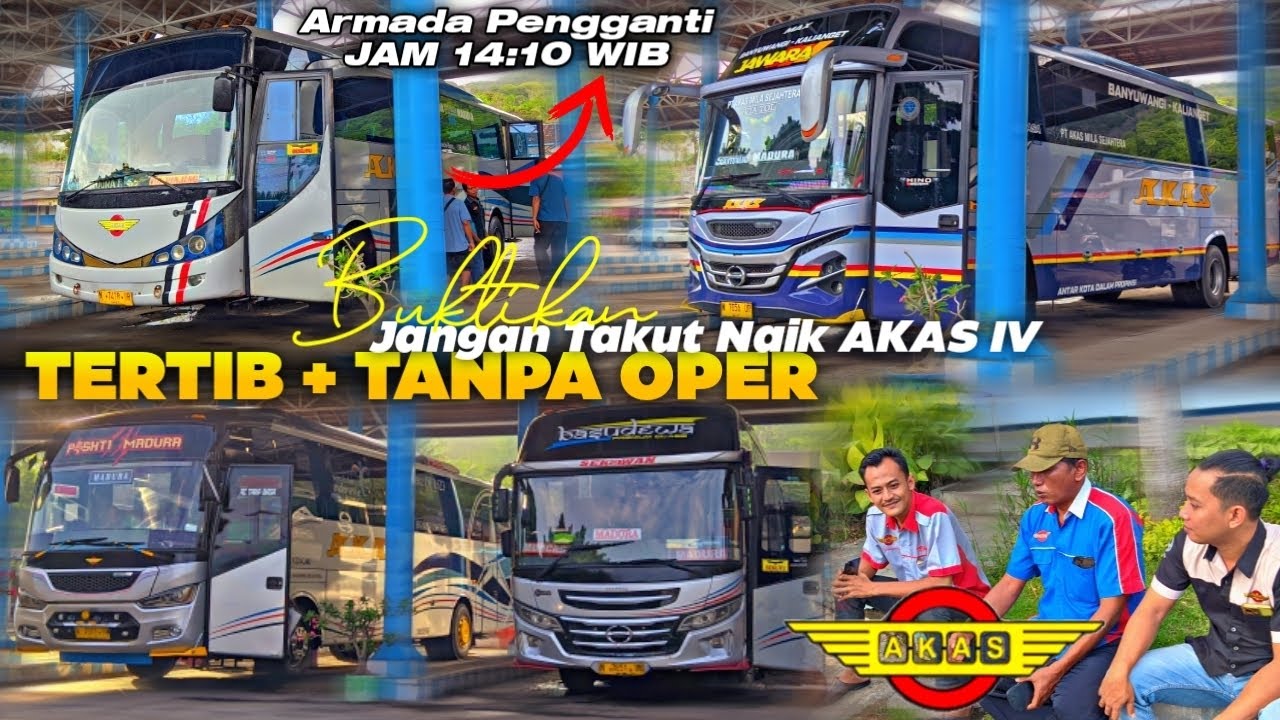 TARIF TERTIB 🔥Aktivitas Bus AKAS IV Banyuwangi - Madura || 2024