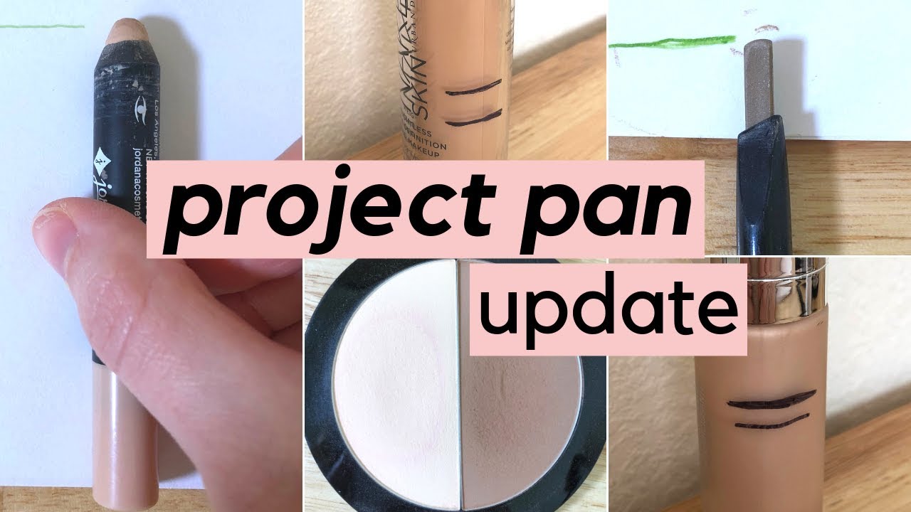 PROJECT PAN UPDATE: February Check In