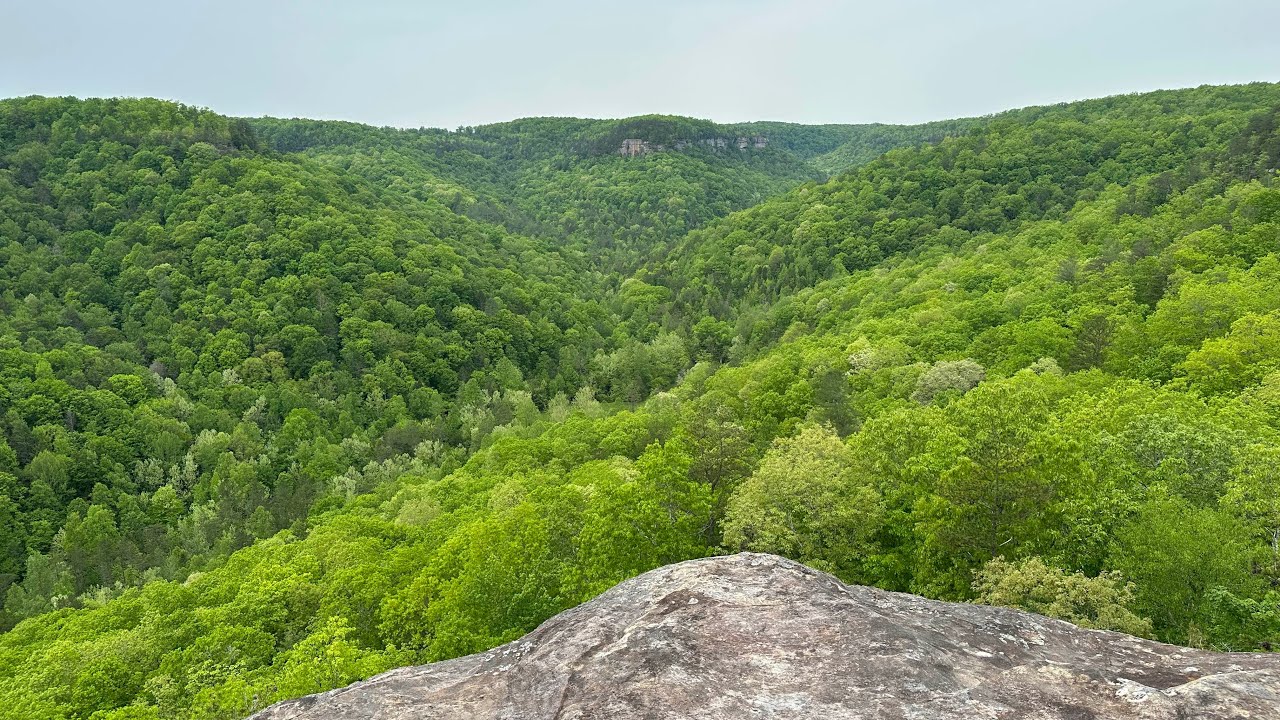 John Muir Overlook