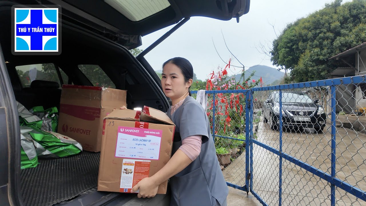 Bác chủ trại chia sẻ kinh nghiệm dùng dinh dưỡng thay thế kháng sinh