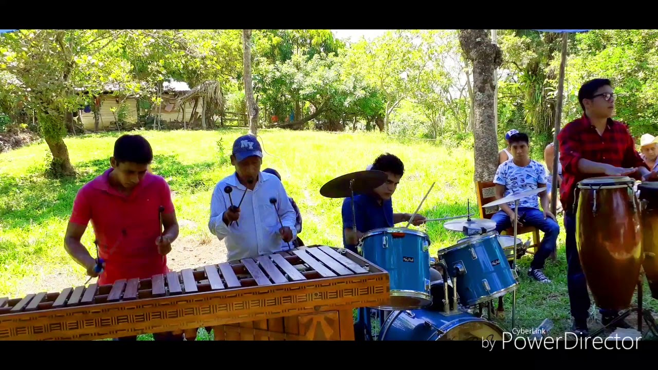 MARIMBA ALMA MÍA EN VIVO | LA CUMBIA DEL SAPITO.