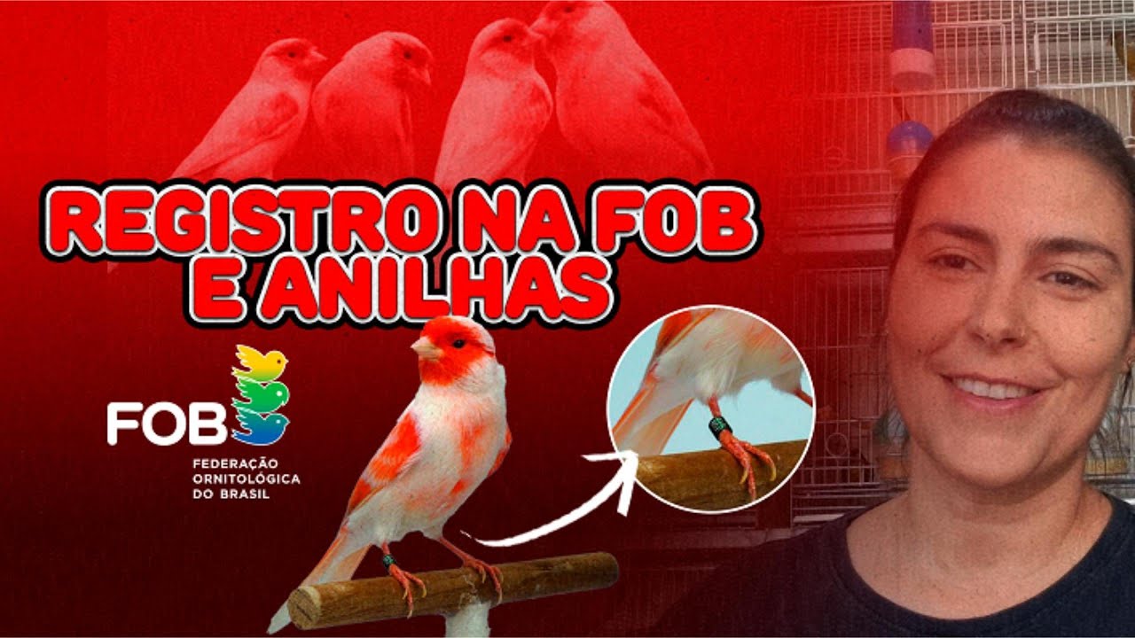 Conheça um pouco sobre clubes, registro na FOB e anilhas!
