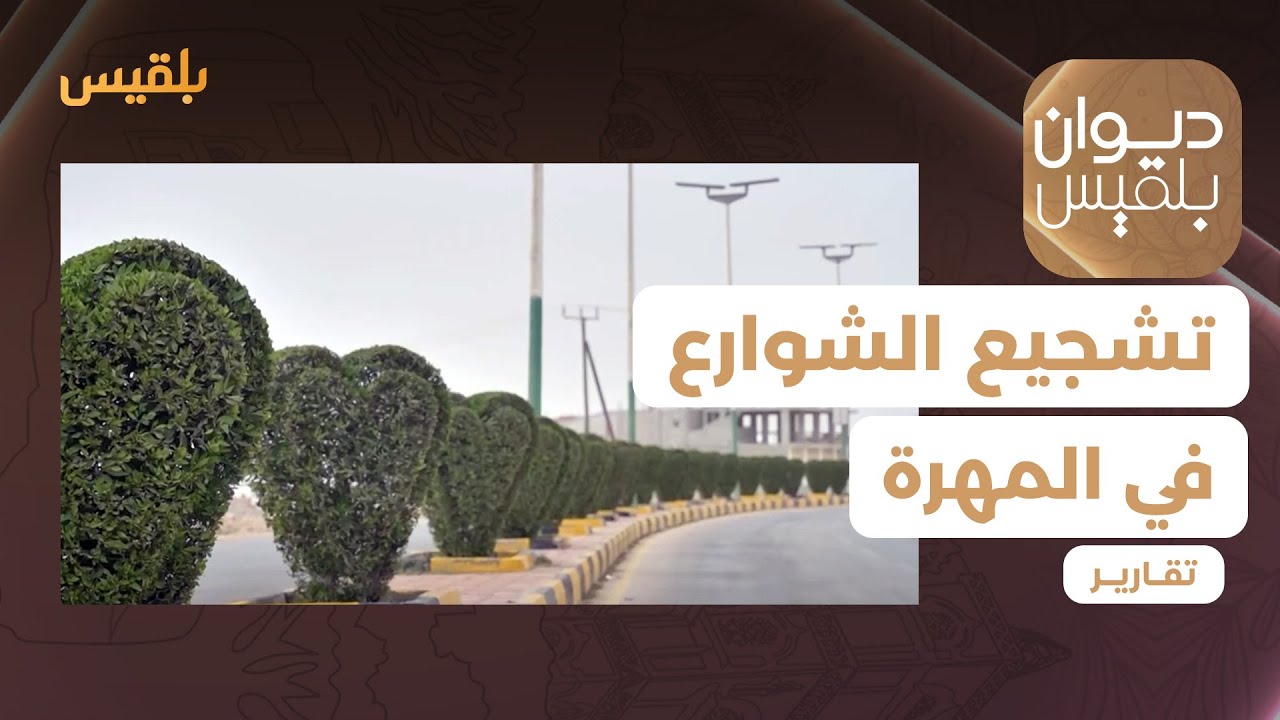 الغيضة.. تشجير الشوارع بأشكال تعبر عن جزء من تراث المدينة | تقرير: ياسر محمد
