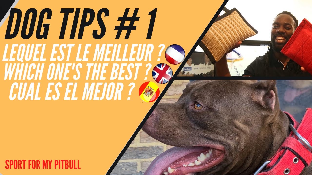 DOG TIPS #1 : Lequel est le Meilleur ? Boudin de Jute ou Nylcot ?! SPRINGPOLE [Sub.titles ENG - ESP]