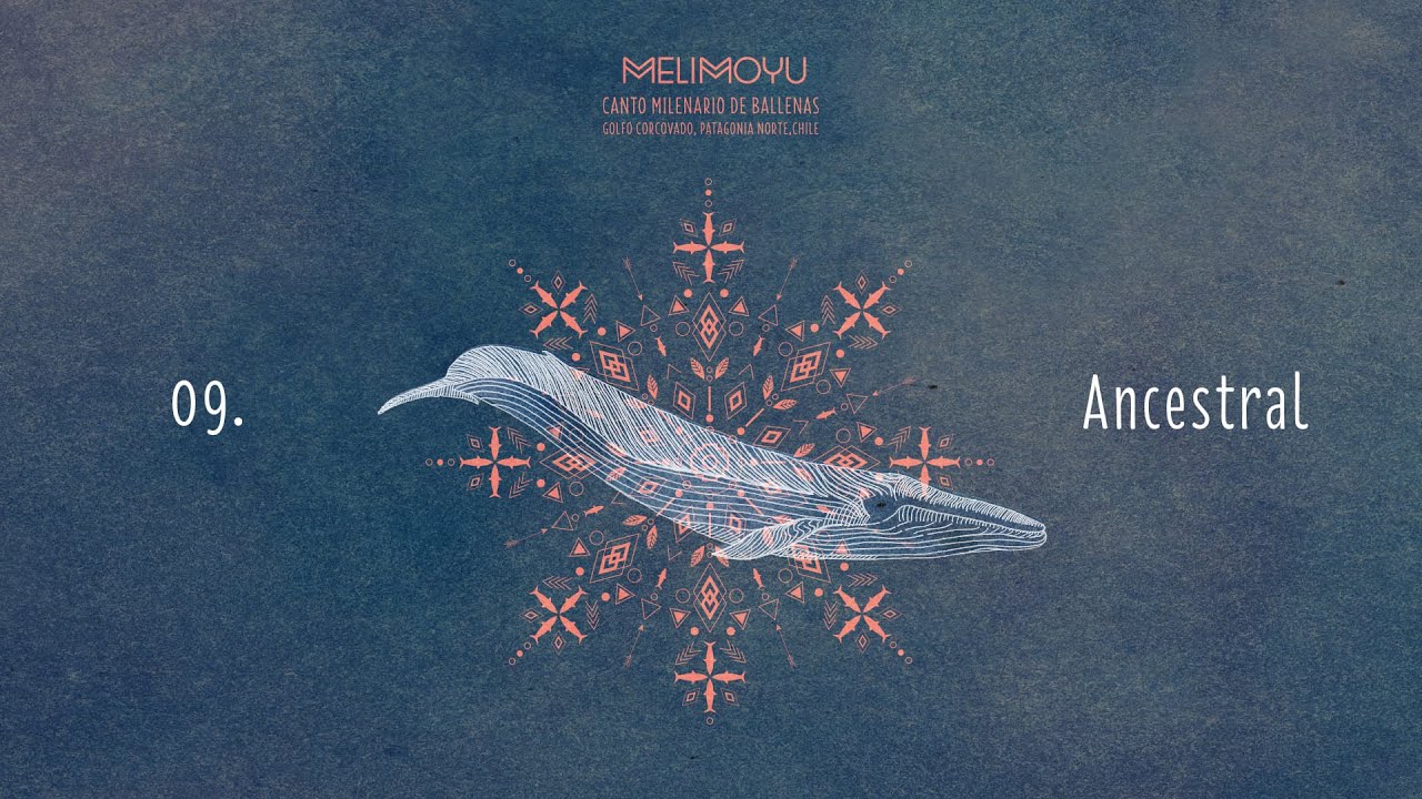 Melimoyu, Canto Milenario de Ballenas: 09. Ancestral