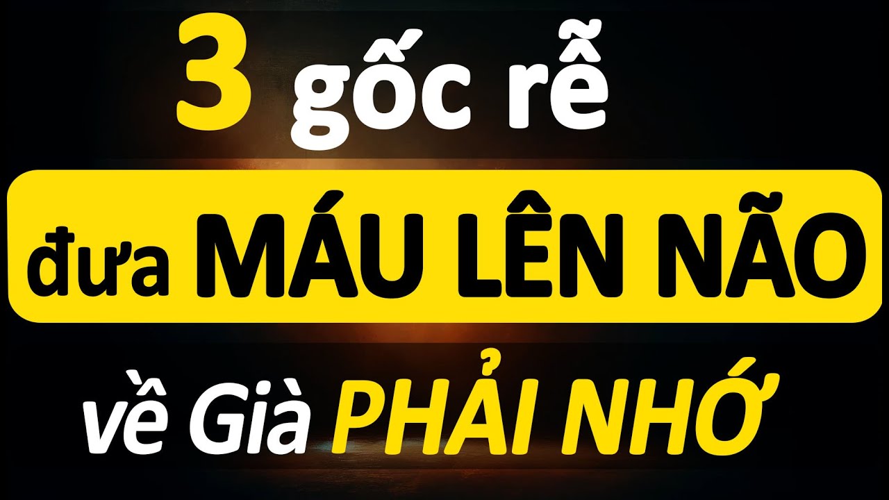 3 Gốc Rễ Đưa Máu Lên Não Suốt Cả Ngày, Về Già Nhất Định Phải Nhớ