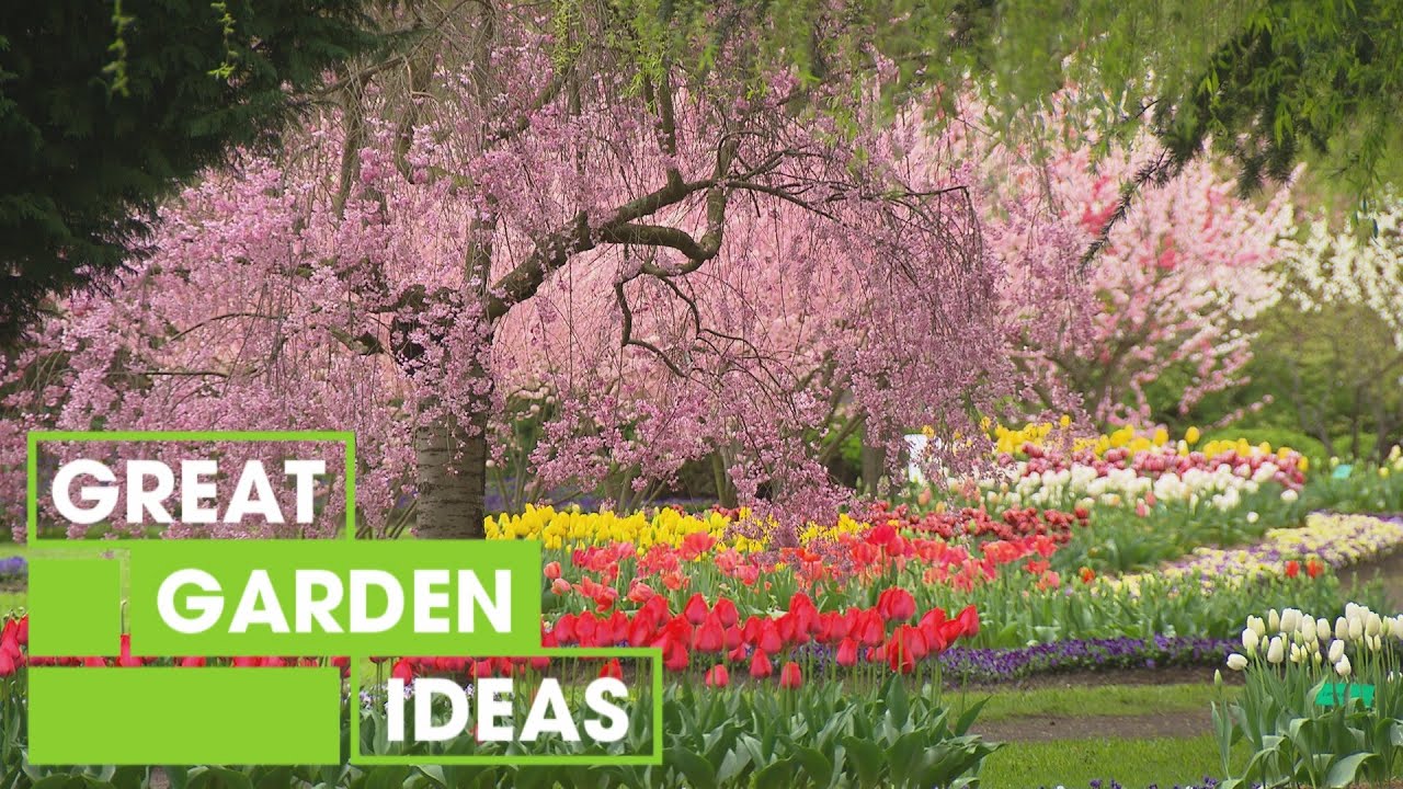 Tulip Top Garden | GARDEN | Great Home Ideas