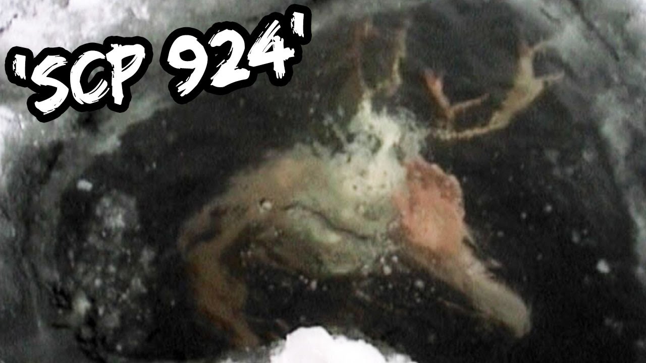 Top 5 Scariest Aquatic SCP Monsters You Need To Read About - Part 3