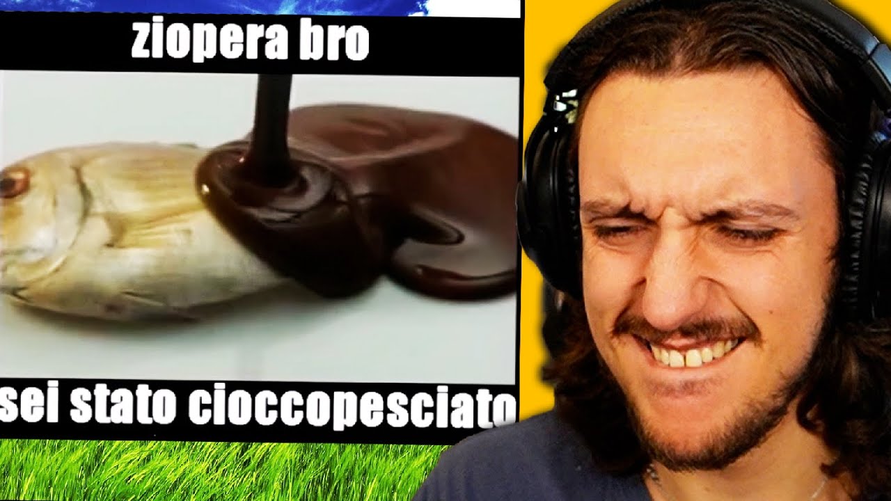 HO CHIESTO DEI MEME AI MIEI FAN... (finito cioccopesciato)