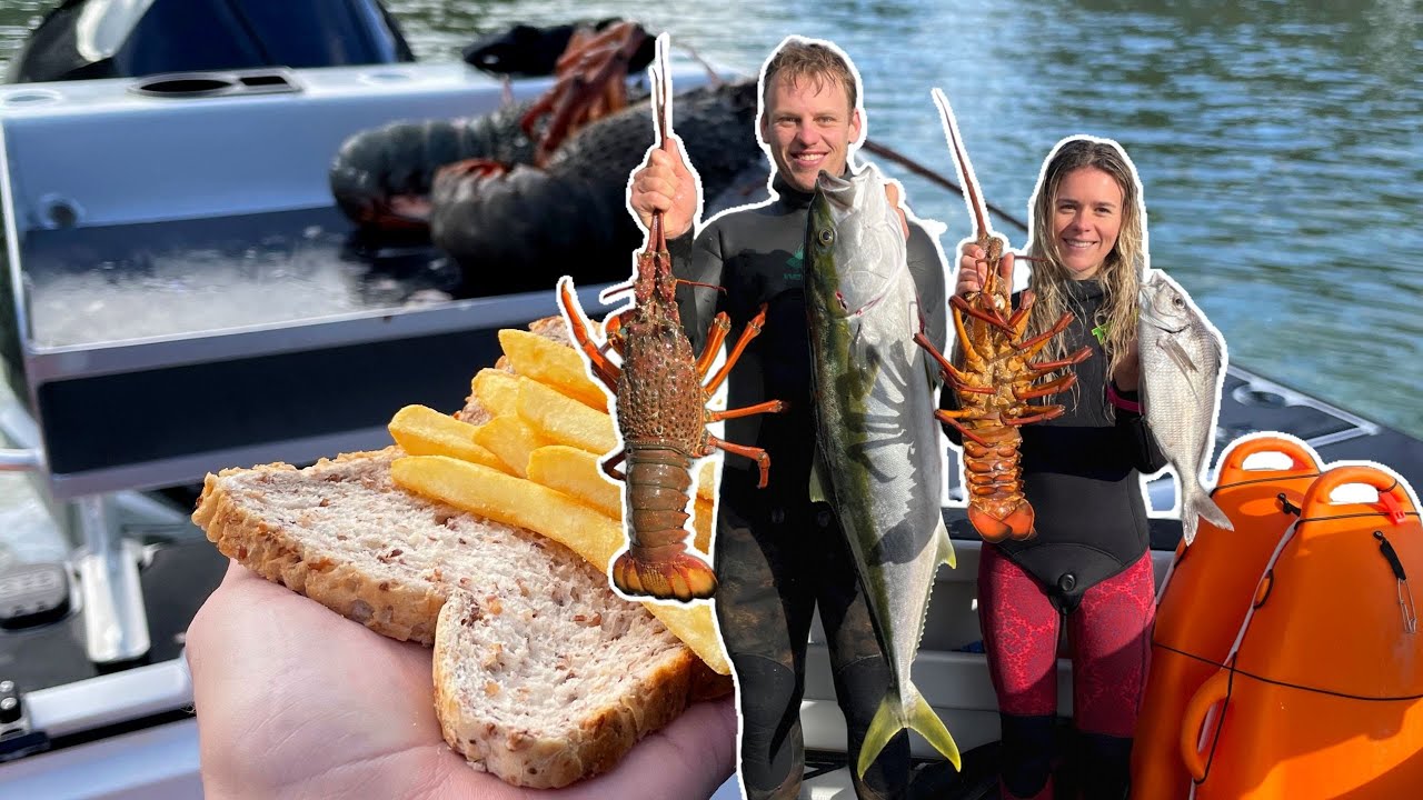 FREEZING Winter Spearfishing- Kingfish, Tarakihi and TONNES of Packhorse Crayfish in the Shallows