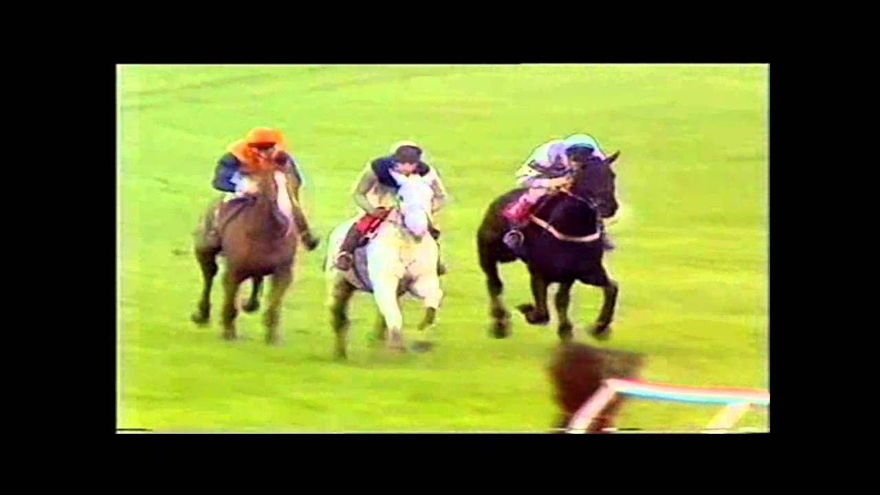 1988 Tingle Creek Handicap Chase extended footage Desert Orchid