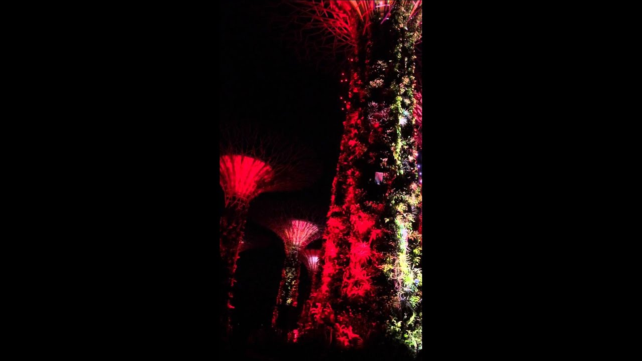 Supertrees Groove @Gardens by The Bay Singapore
