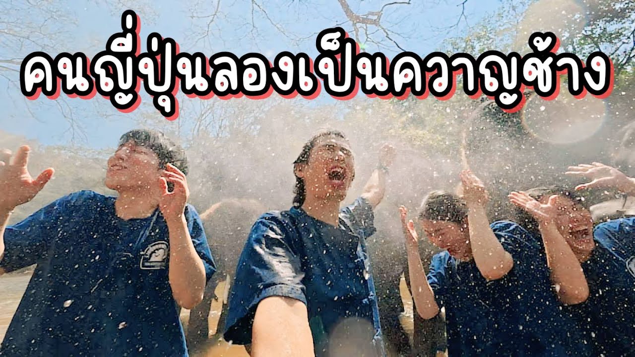จะรอดหรือไม่!?คนญี่ปุ่นลองเป็นควาญช้างที่เชียงใหม่!