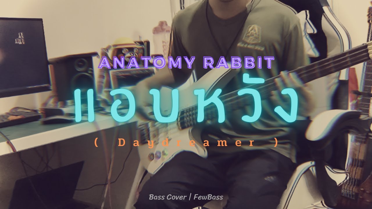ANATOMY RABBIT - แอบหวัง | Daydreamer (Bass Cover) | FewBass