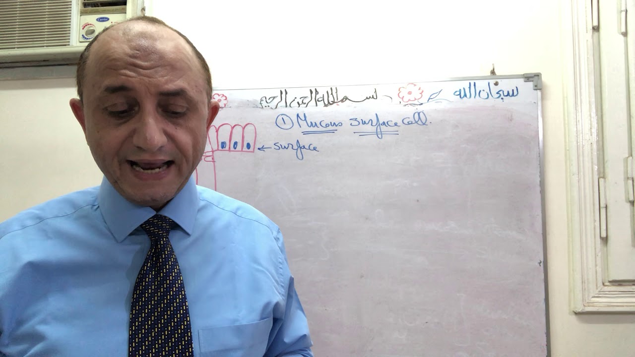 Stomach histology part 4