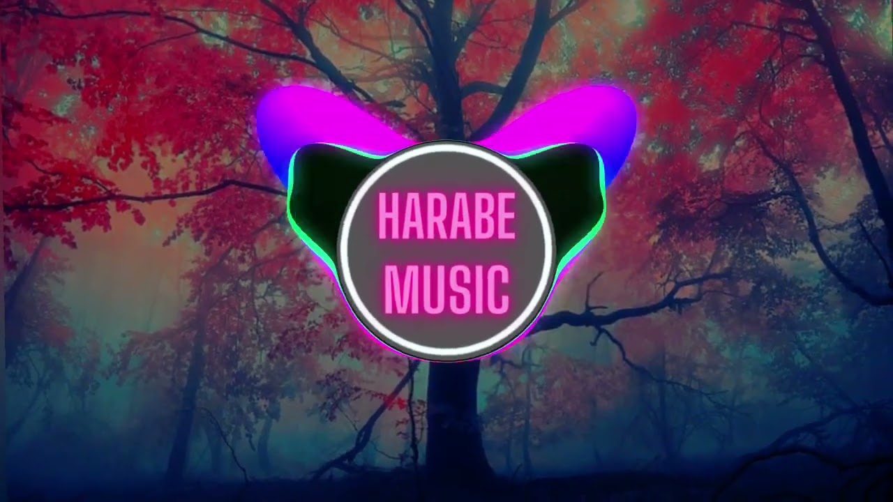 Harabe Music - D&Uuml;ŞLERİMDE SAKLISIN ( ft. Issız Rapatack )