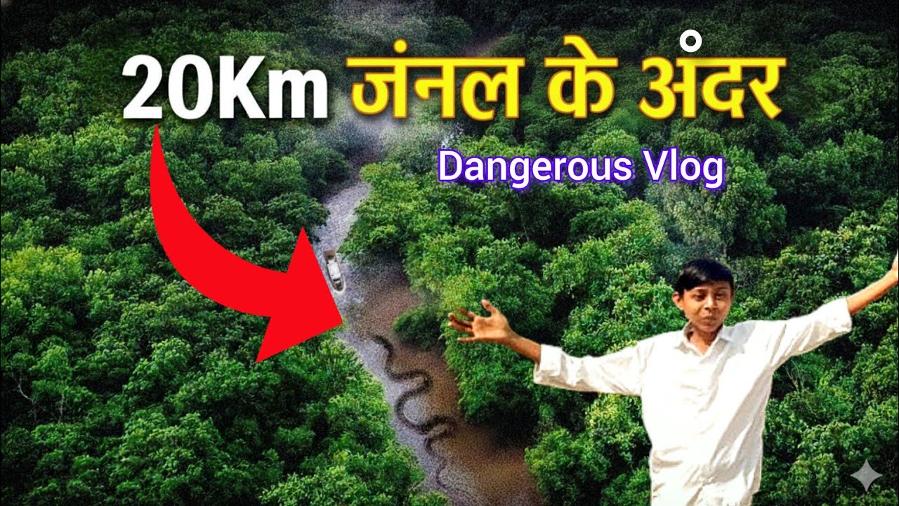 I Went 20KM Deep into the Forest... What I Found Will Shock You! 😱