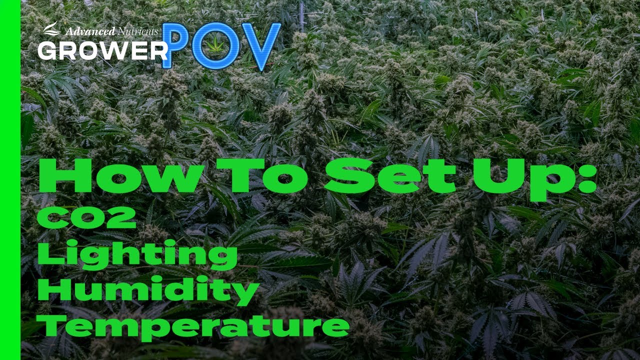 Grower POV: How to Setup-C02, Lighting, Humidity & Temperature