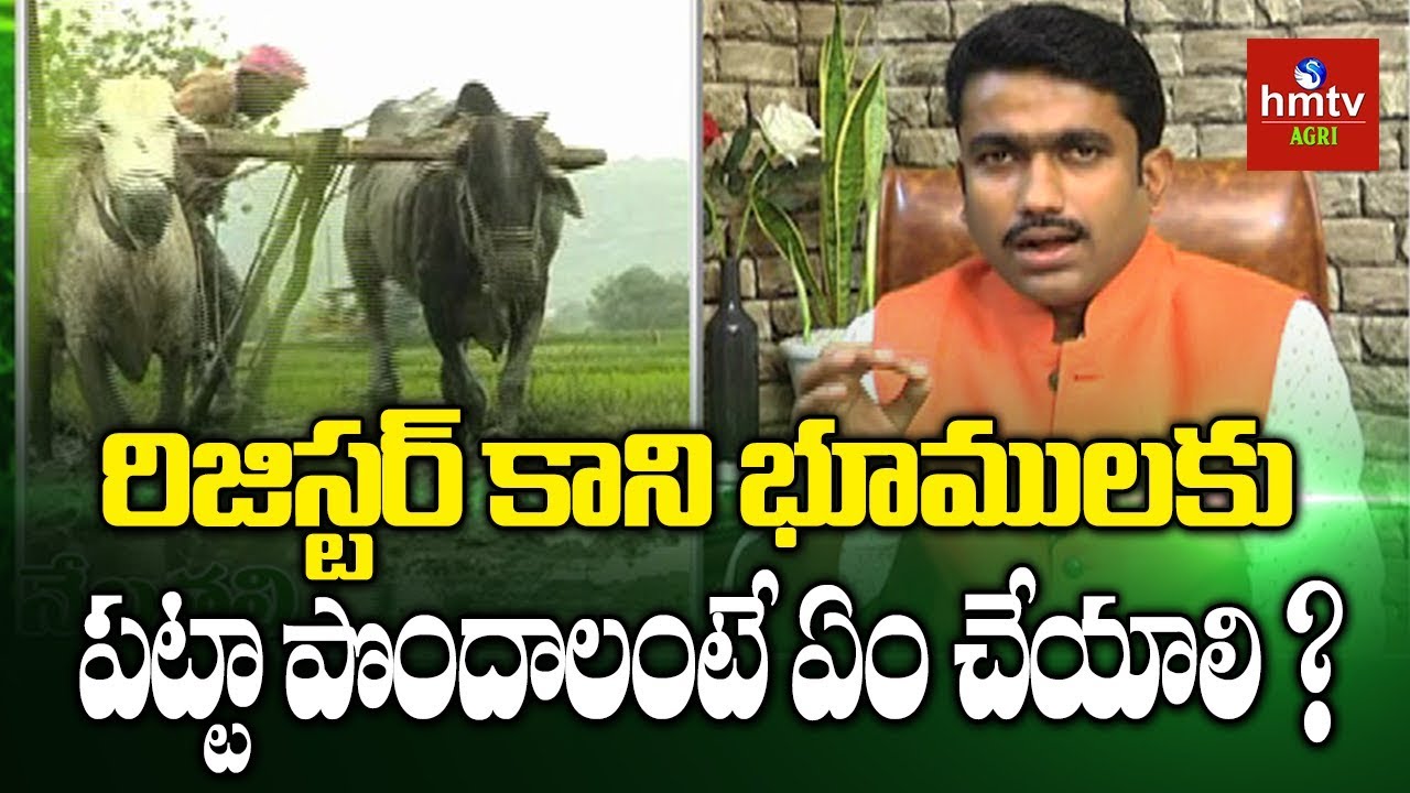 రిజిస్టర్ కాని సాదా బైనామా భూములకు పట్టా పొందాలంటే ఏం చేయాలి ? | hmtv Agri