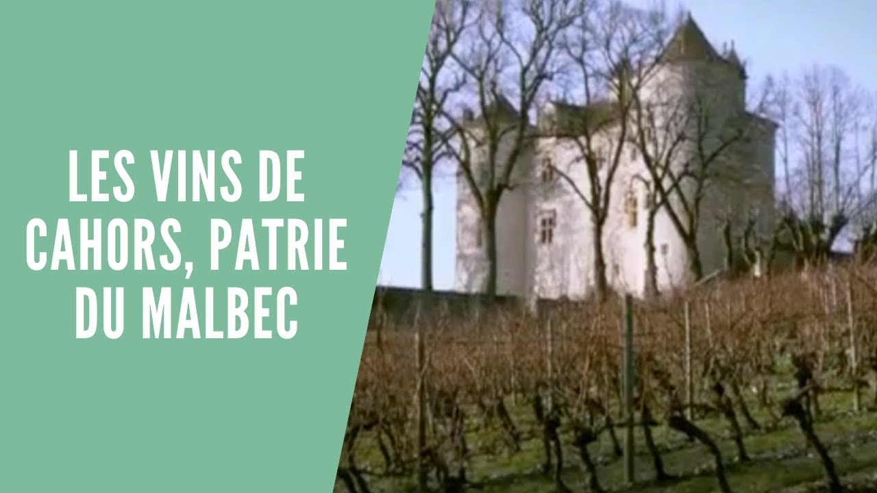 [REPORTAGE] Les vins de Cahors, patrie du Malbec dans le Sud-Ouest de la France
