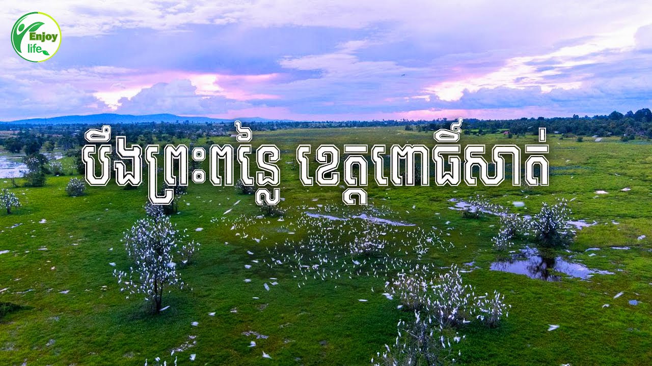 ជំរំសត្វស្លាប បឹងព្រះពន្លៃ Preah Ponlie Bird Sanctuary