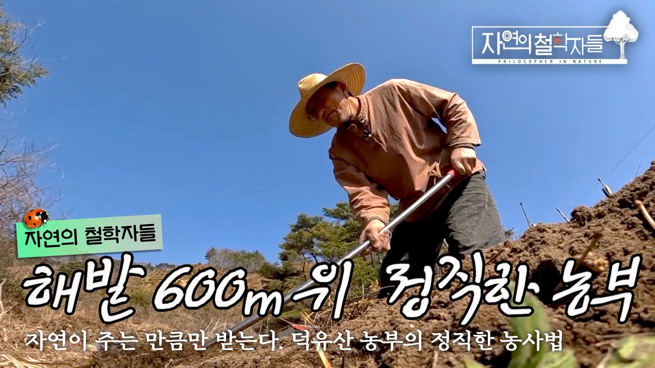 덕유산 해발 600m, 자연이 주는 만큼만 받는 농부의 정직한 농사법｜#자연의철학자들 KBS1 매주 금 방송｜[국내여행] 20220617