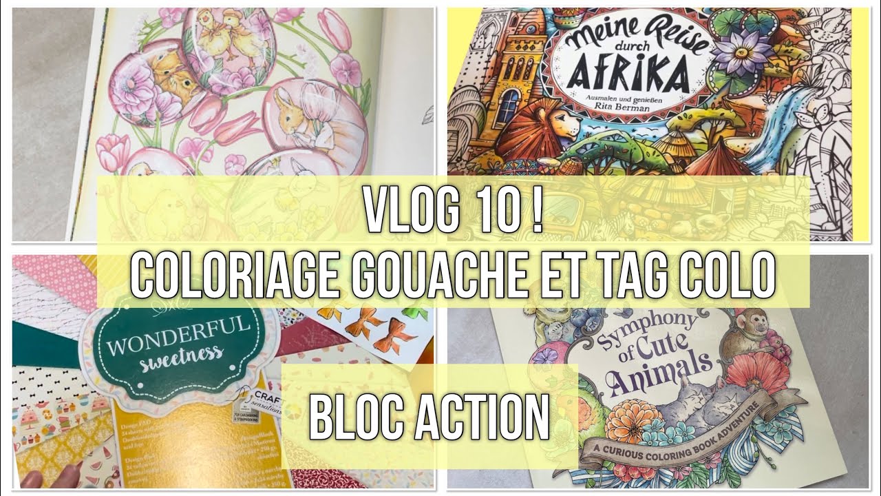 Vlog 10 ! ✏️ : J’entame un nouveau livre ! Faire un rajout dans le coloriage .