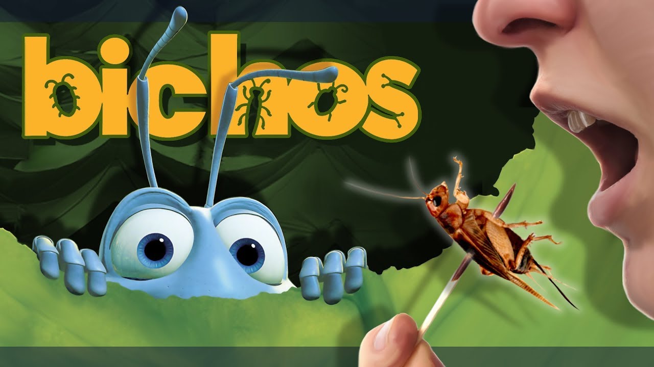 Probando BICHOS en TAILANDIA!