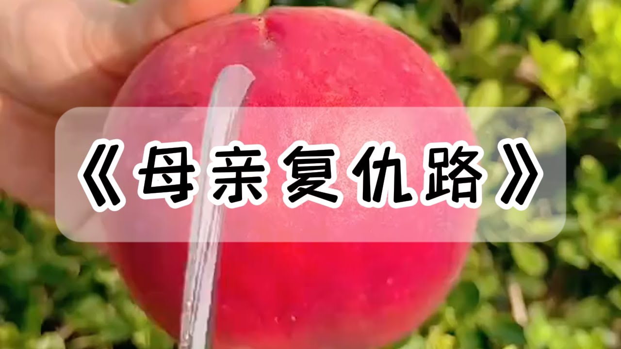 前夫抢走了女儿的抚养权，还骗我说女儿死了，我如花似玉的女儿，被他嫁给了 60 岁的老光棍#小说 #故事