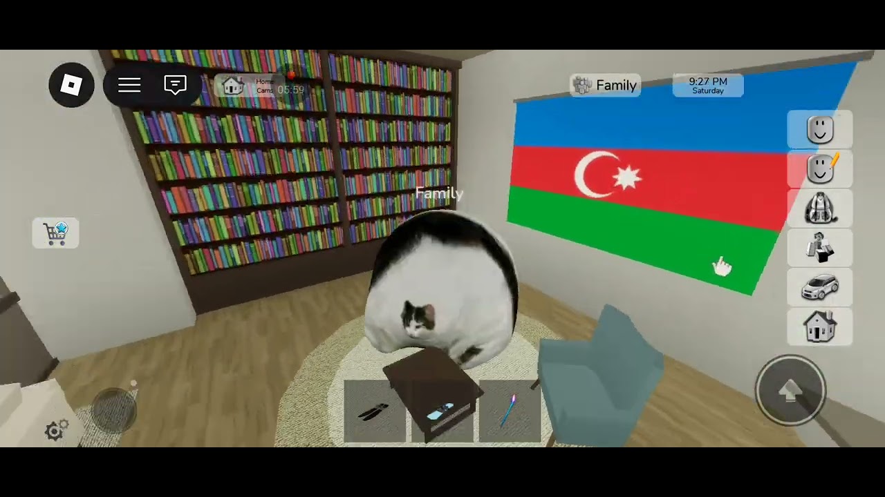 7 fevral 2026