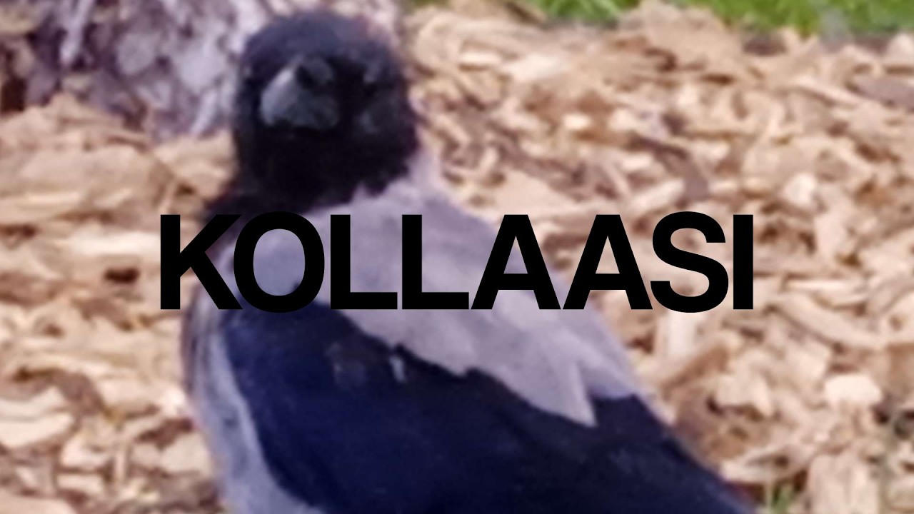Kollaasi -- koko albumi