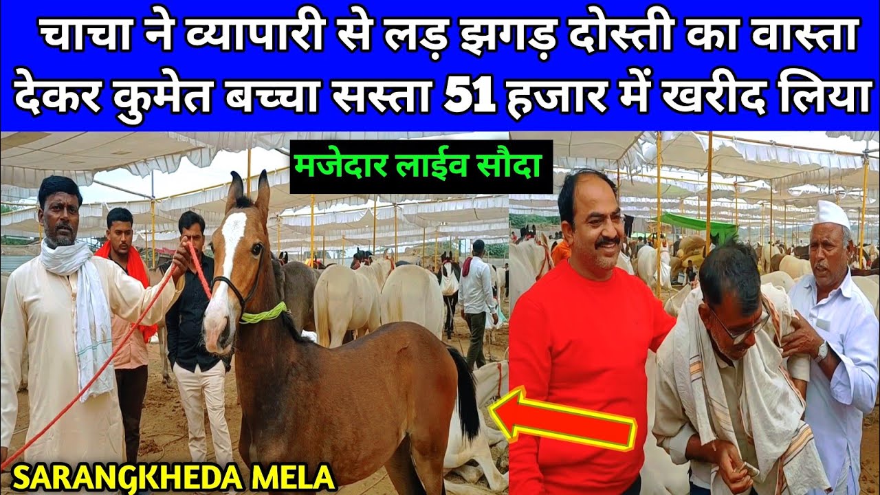 चाचा ने लड़ झगड़ दोस्ती का वास्ता देकर कुमेत बच्चा सस्ता 51 हजार में खरीदा। SARANGKHEDA MELA।