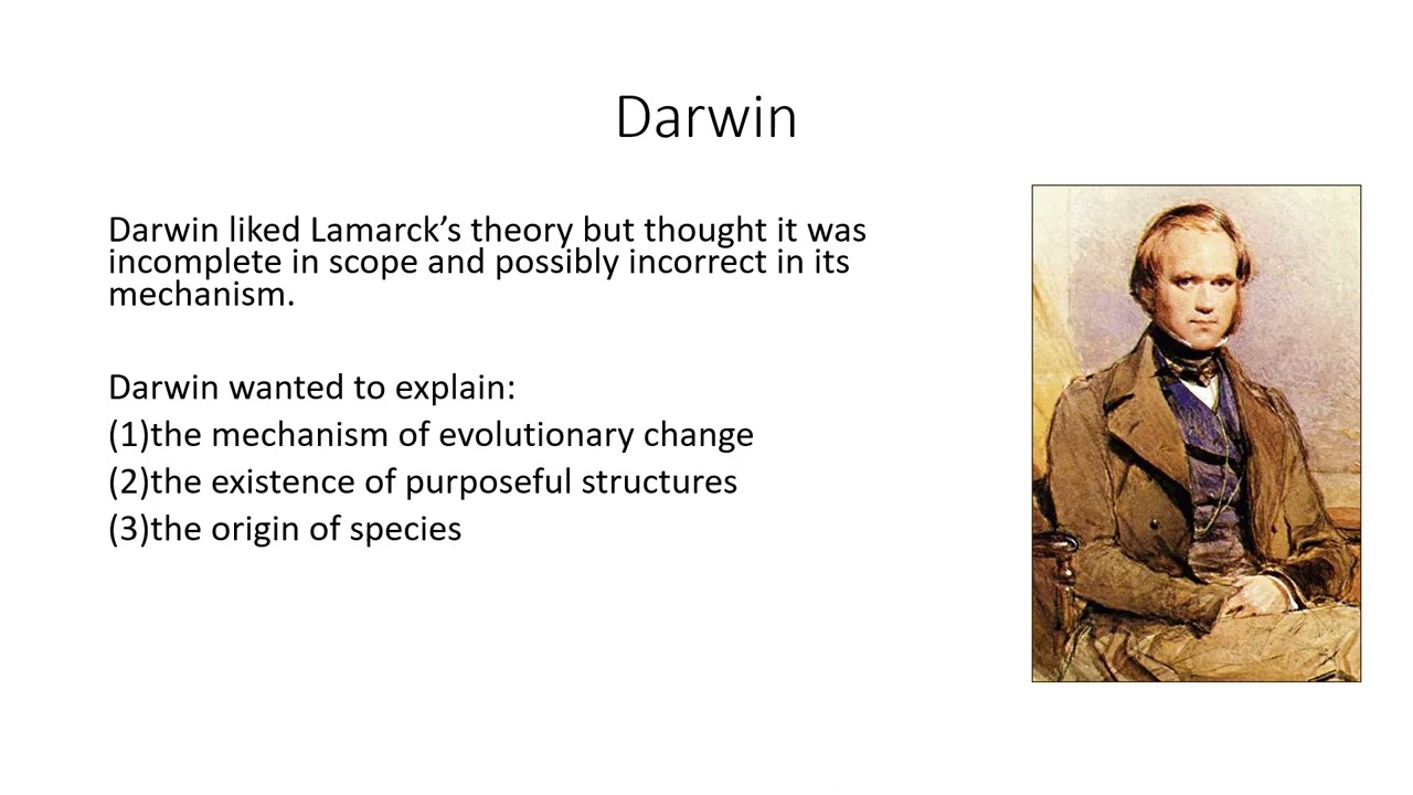 Genes and Environment Evolution