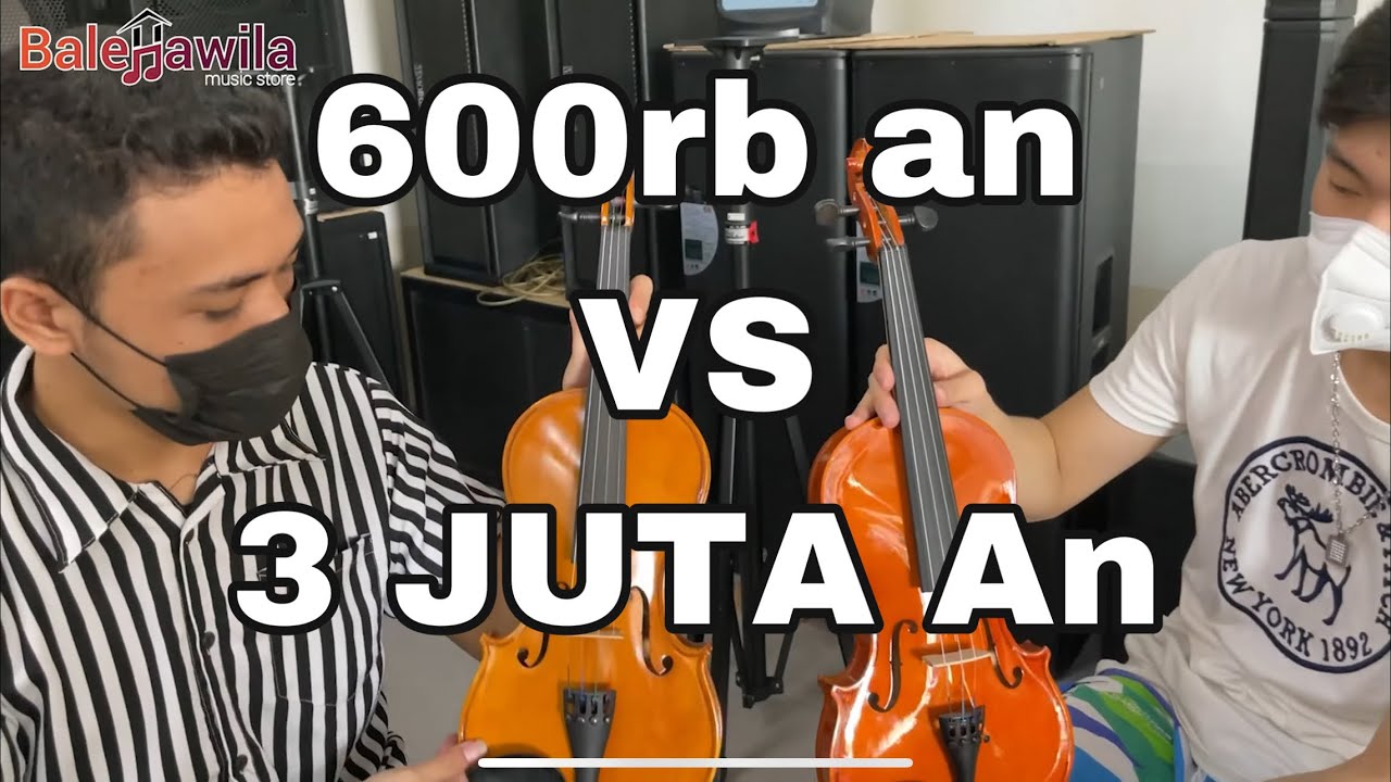 Biola MURAH Harga Ratusan Ribu VS BIOLA MAHAL Harga 3 JUTA AN 🔥 | Paladin vs Hofner