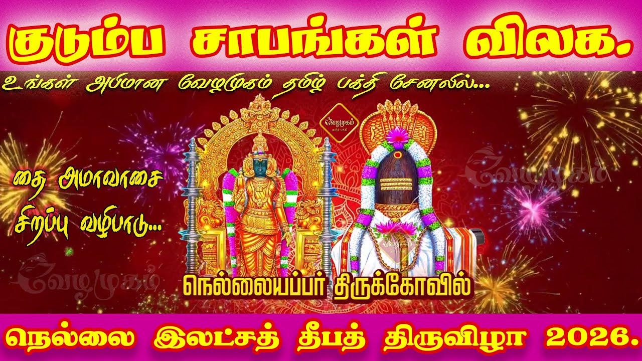 🔴 LIVE : 🔥 குடும்ப சாபங்கள் விலகும்!  தை அமாவாசை சிறப்பு🌟 நெல்லையப்பர் லட்சதீப விழா 2026 @Vezhamugam