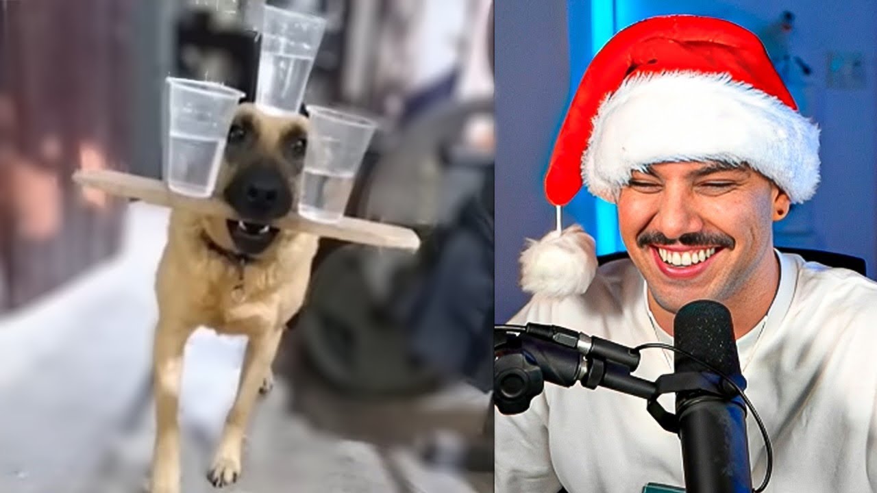 Se eu te falar que vc vai rir por meia hora vc acredita?