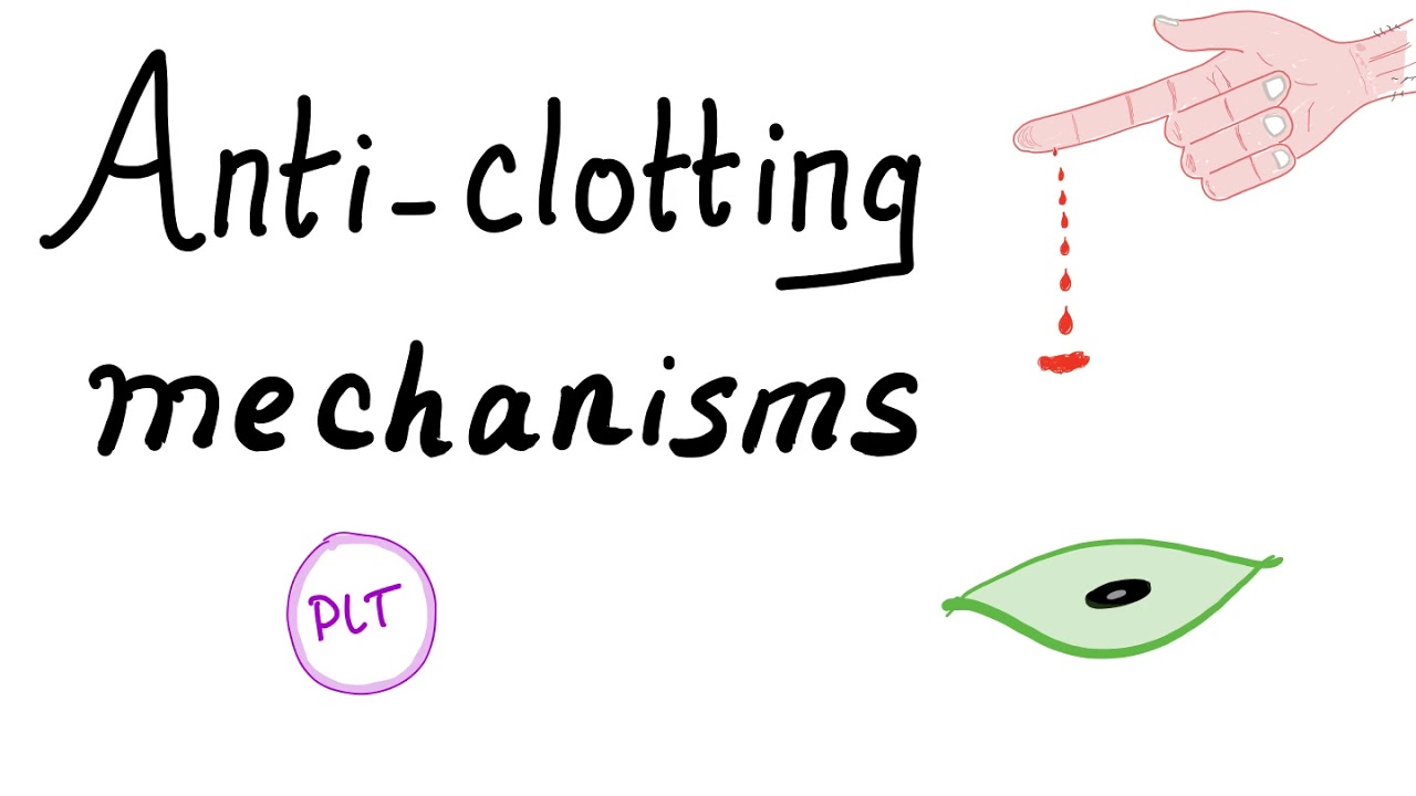 Anti-clotting Mechanisms - Heparin, Warfarin, Antithrombin III, Prostacyclin - Hematology