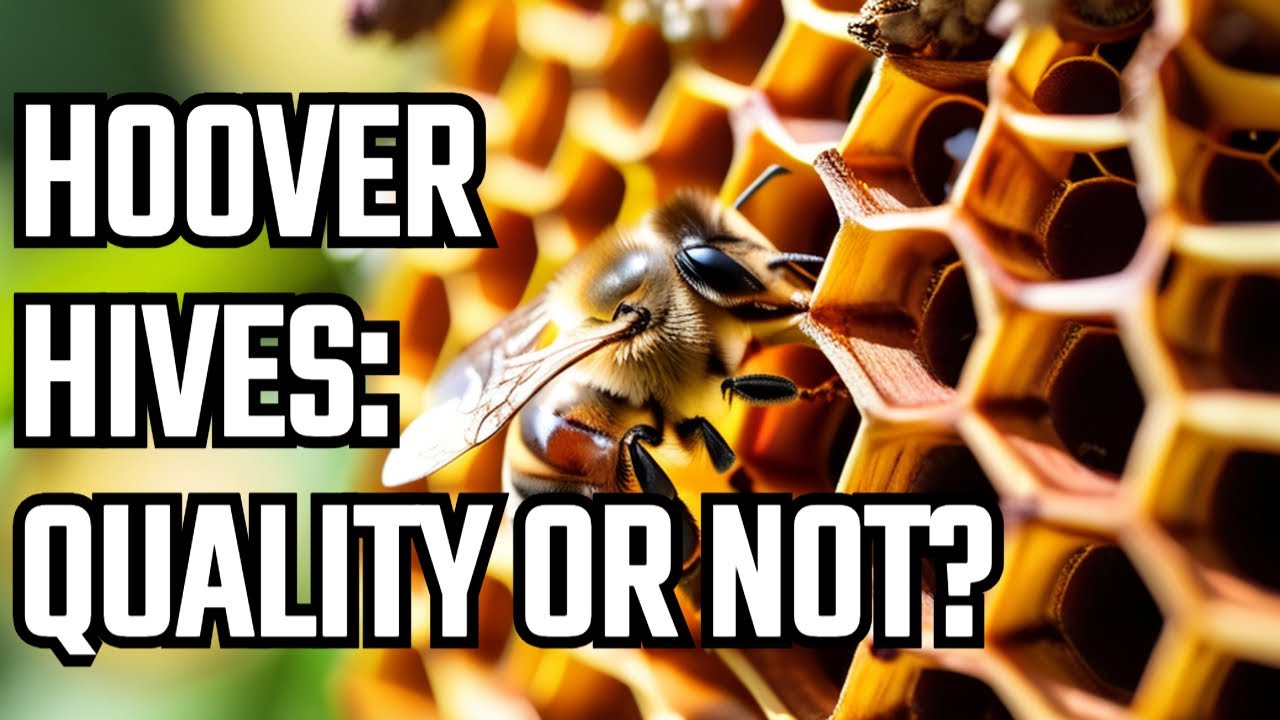 Hoover Hives: A No-Nonsense Review (Just the Facts!)