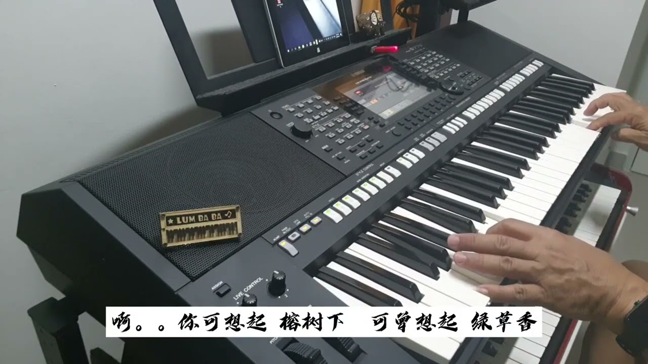 榕树下～ 电子琴经典老歌演奏 YAMAHA PSRS 775 Cover By  LumBaBa