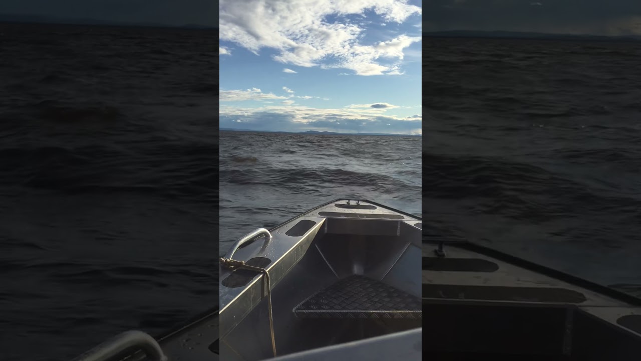 19.5 Silver dolphin with 115hp Yamaha on Lake Melville